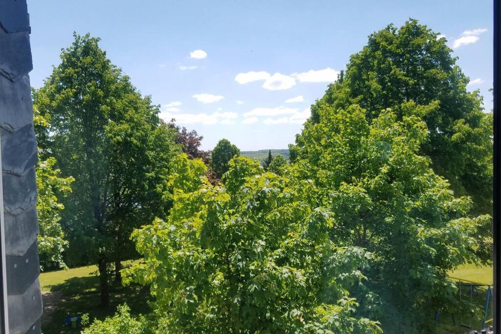 Alte-schule-kail 2 *